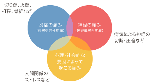 神経性疼痛の種類表